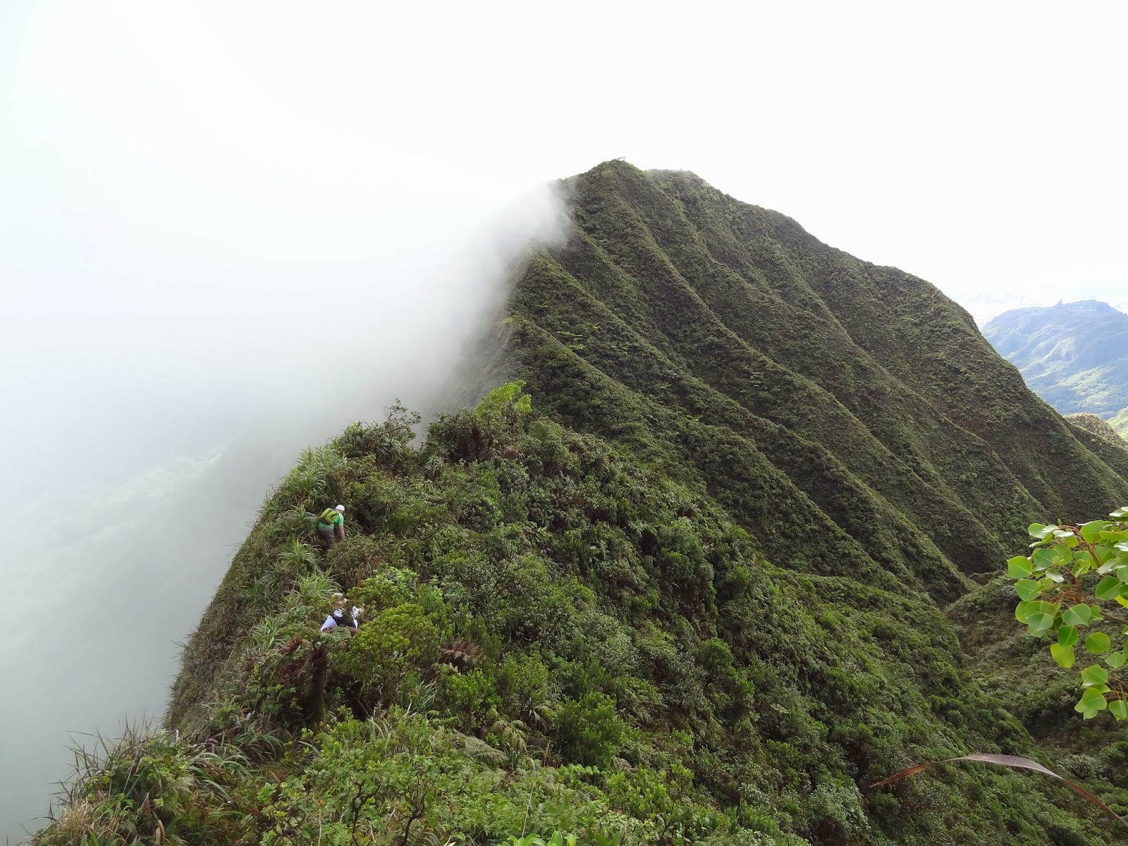 Hawaii ridge disappearing into the clouds