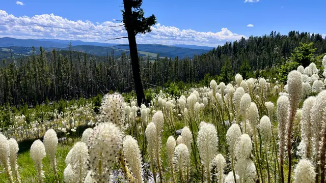 Four SOTA Summits in One Day – A 100-Mile Montana Adventure