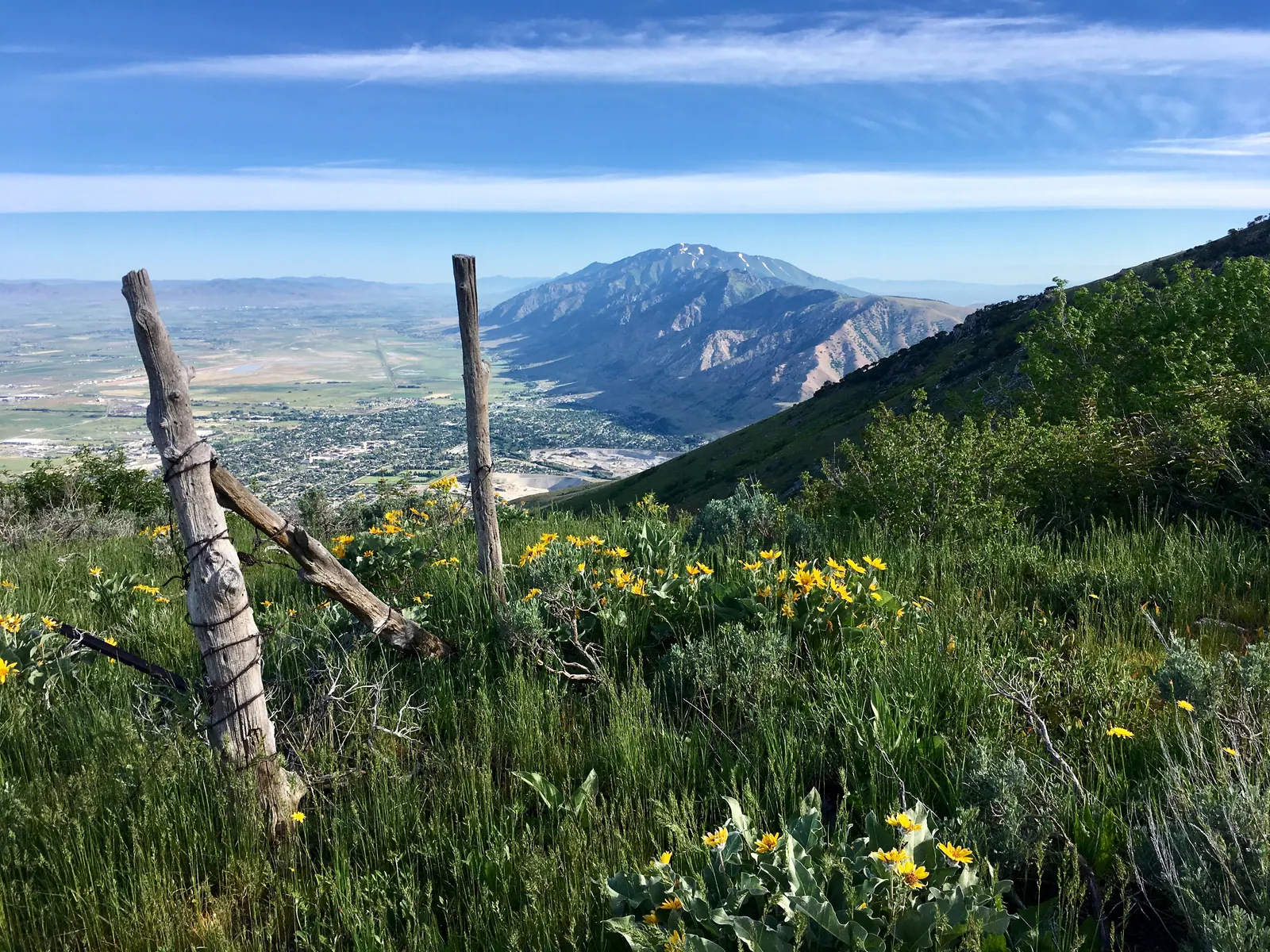 Mountain summit view with wildflowers