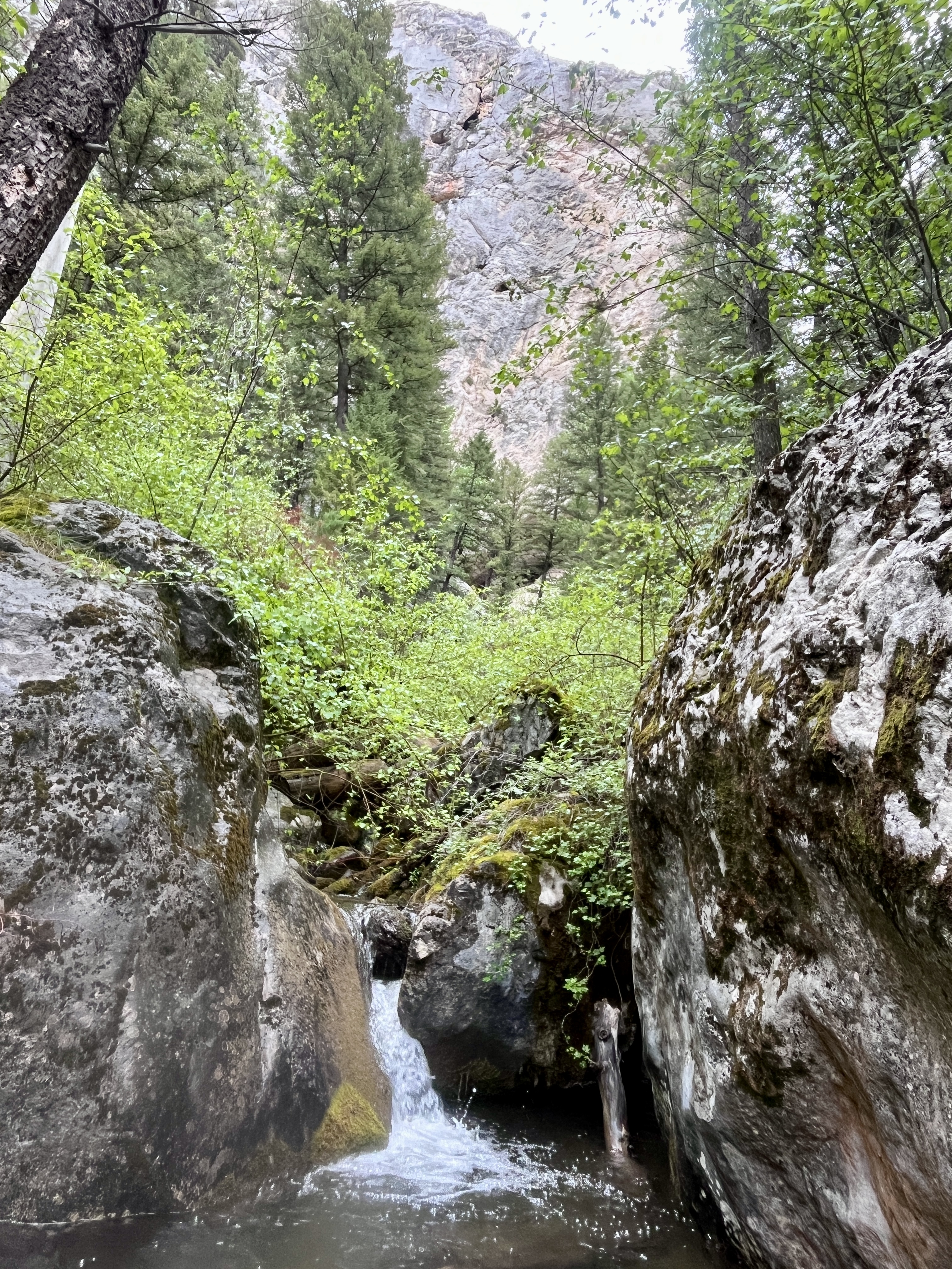 Moors Creek below Refrigerator Canyon.