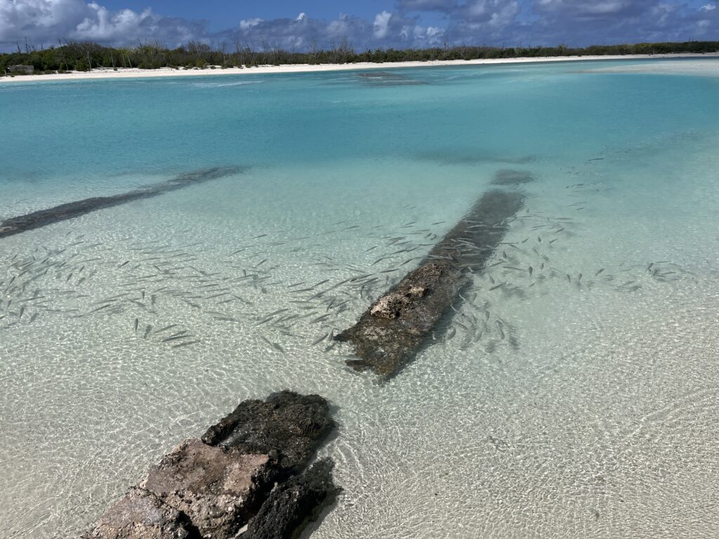 Over 4,000 Contacts and Counting