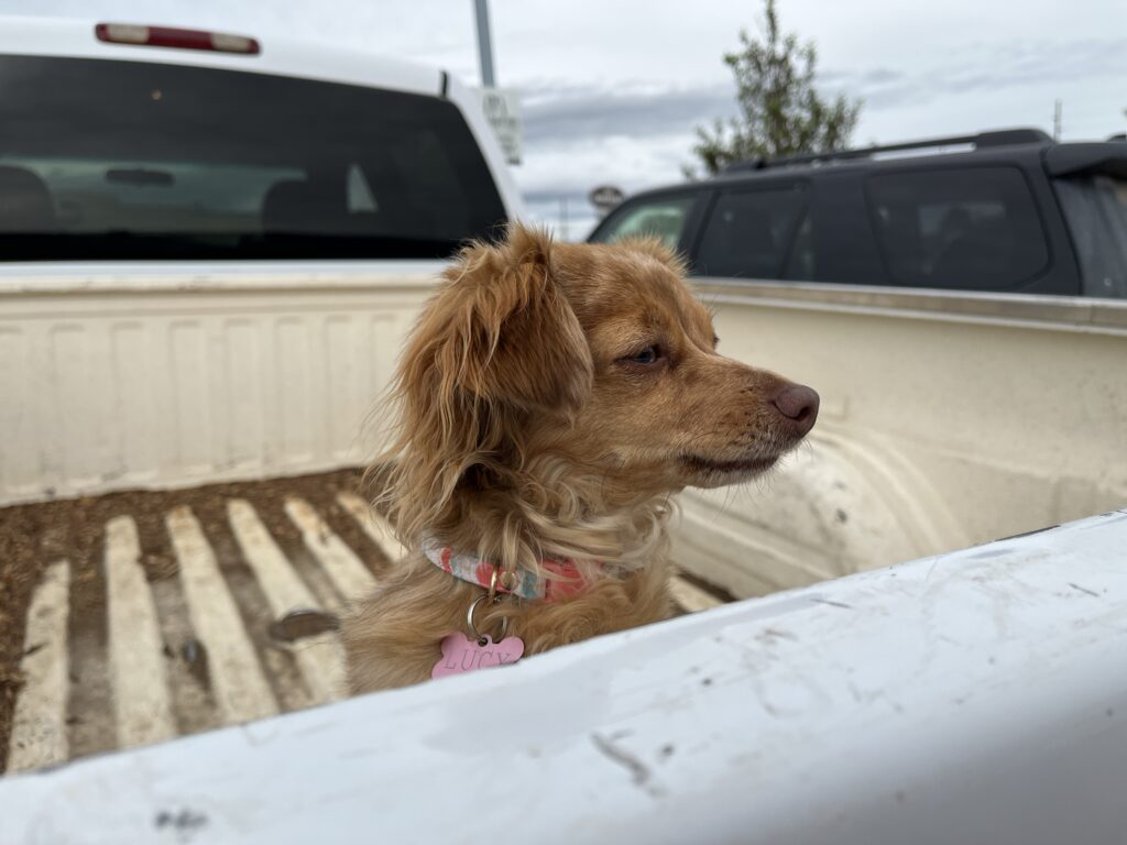 Lucy forgetting to remind me about my radio.