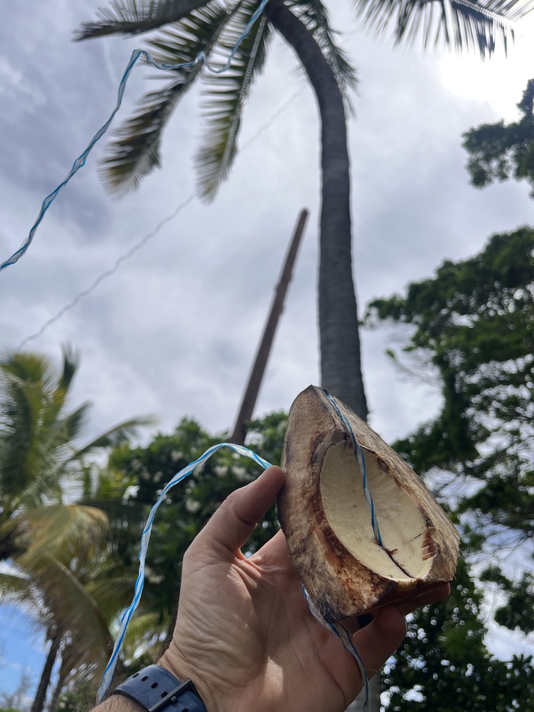 Coconut antenna launcher.