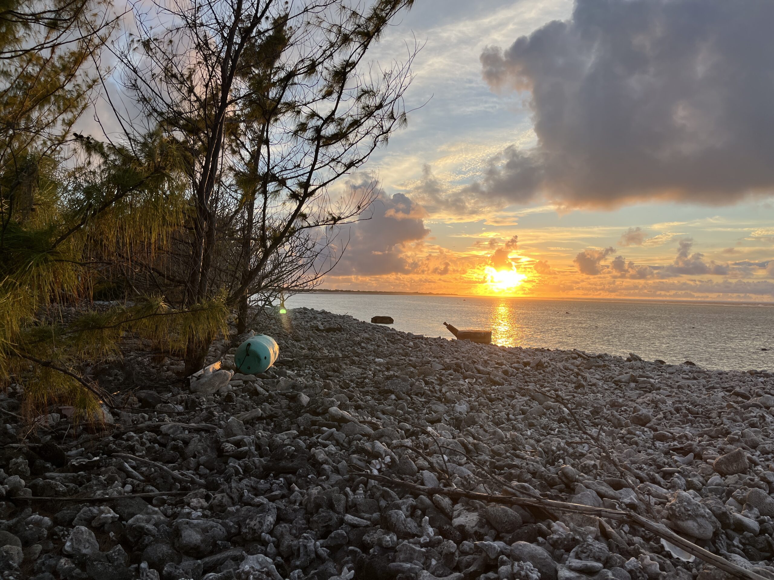 FT8 Super Fox, Ants, and 15,000 Wake Island Ham Radio Contacts