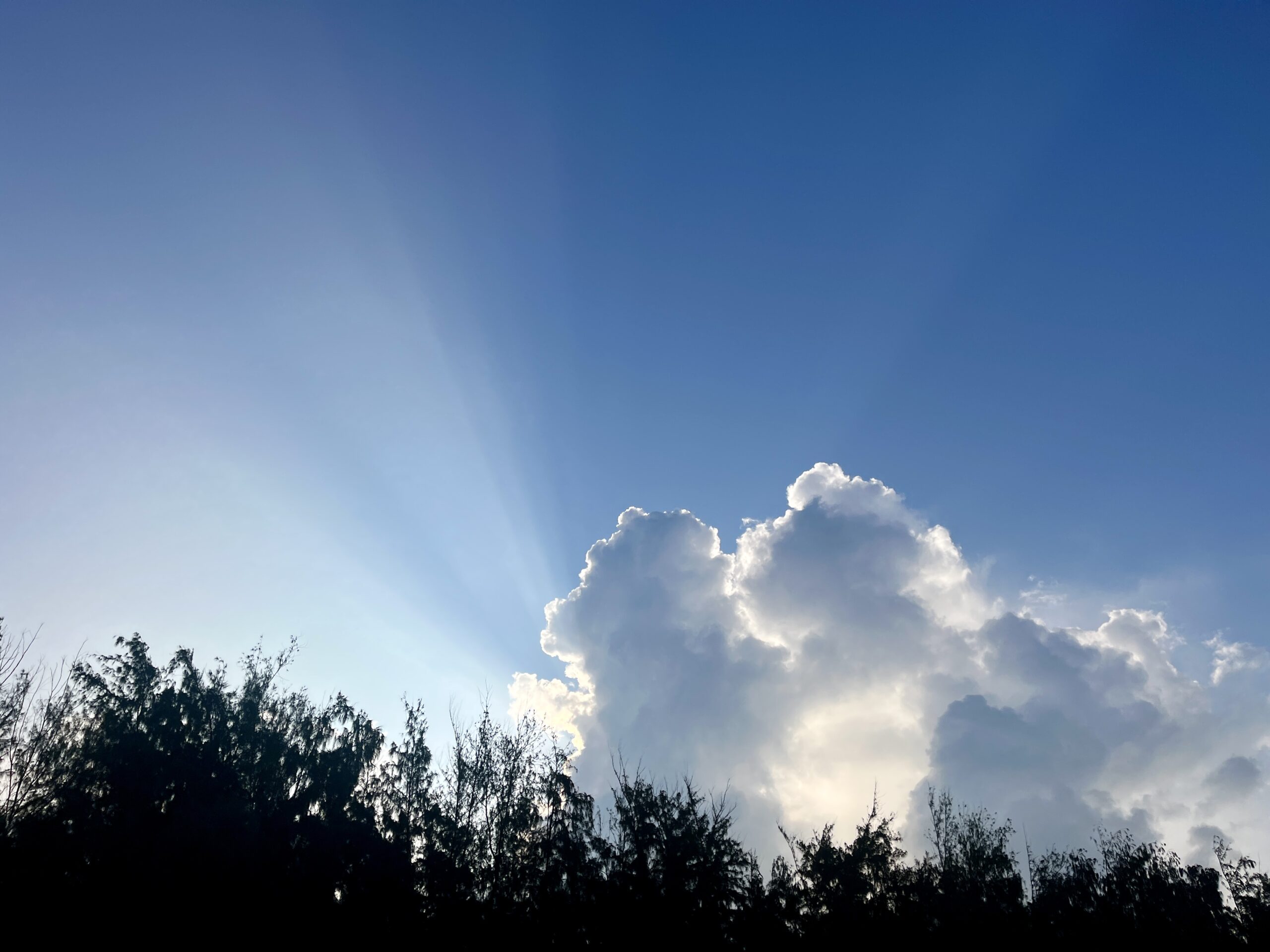 WSJT-X – Fox & Hound Mode: Tips and Tricks for Successful FT8 DXing