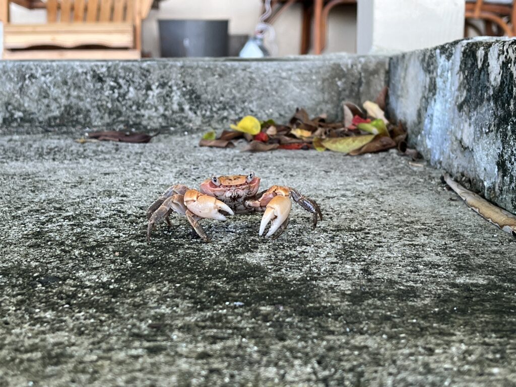 20,000 Contacts Out at Sea, Wake Island Milestone