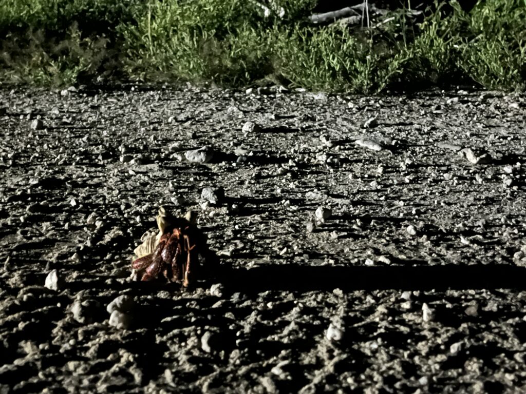 Hermit and his shadow