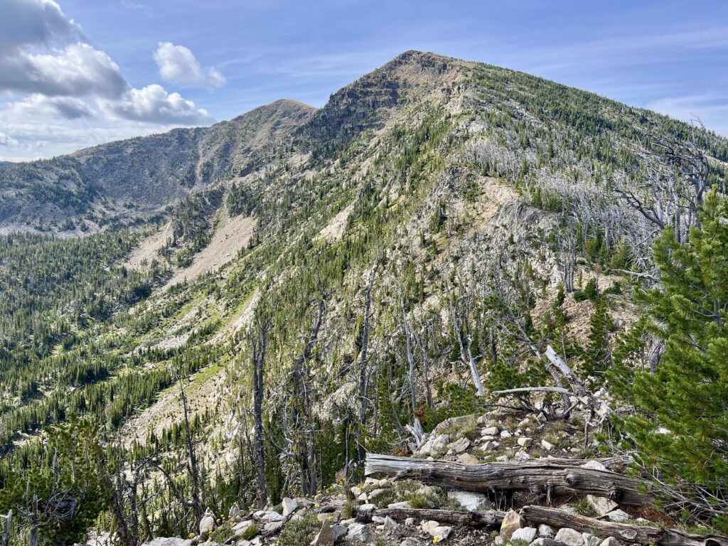 Unnamed lesser summits on my way to Mount Baldy
