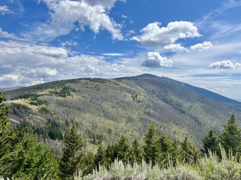 Going Baldy: Taking on Mountain Baldness with Back-to-Back SOTA Activations