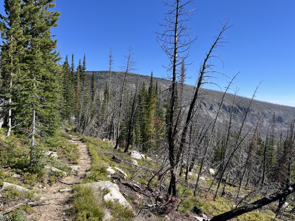 Boulder Baldy and the Middle Fork Big Camas Creek drainage.