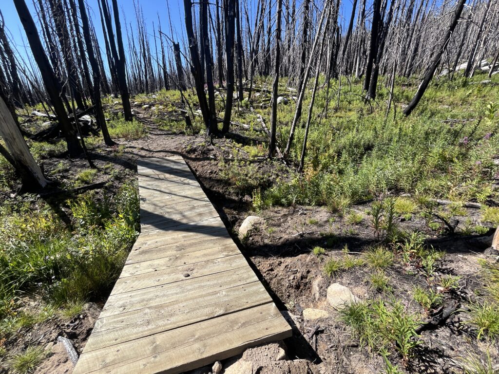 Newly constructed foot bridge in the Middle Fork Big Camas Creek drainage, burn scar area.