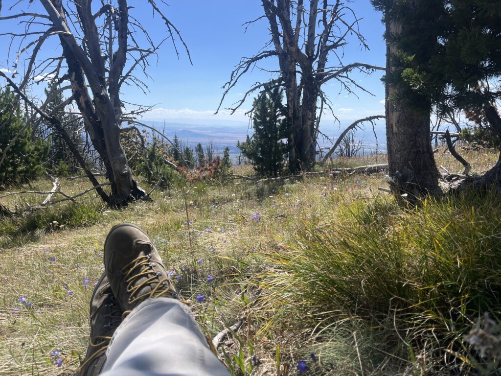 My siesta spot on the return hike from Boulder Baldy.