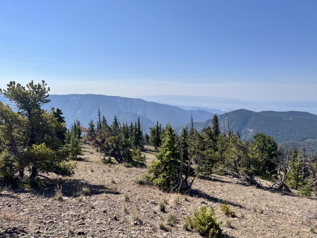 Moors Mountain view looking south